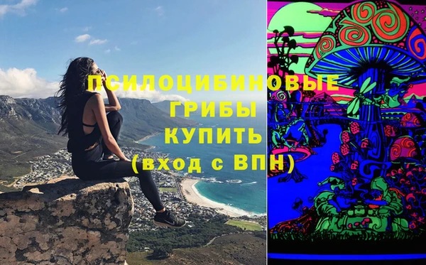 меф Алексин